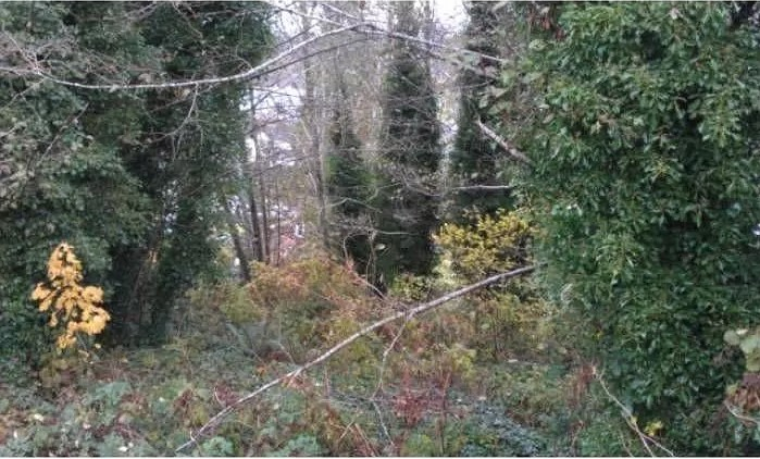 2 Residential Lots In Aberdeen WA - Close to 2 Rivers, Schools, Businesses, and Harbor